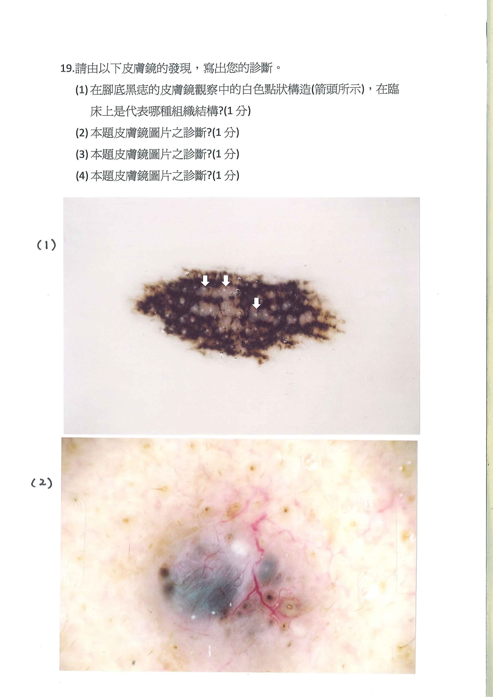第19題 (p.23)
