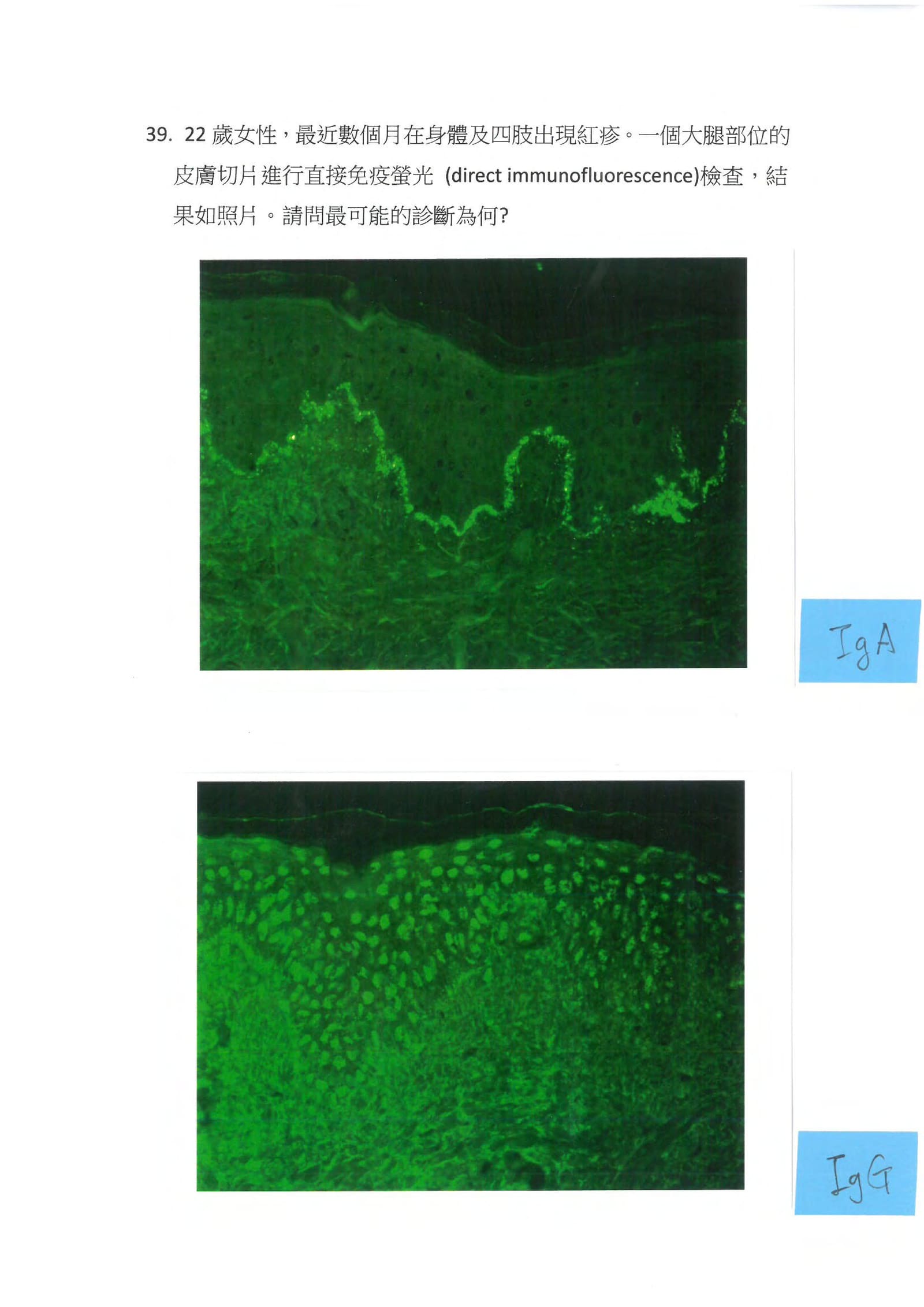 第39題 (p.48)